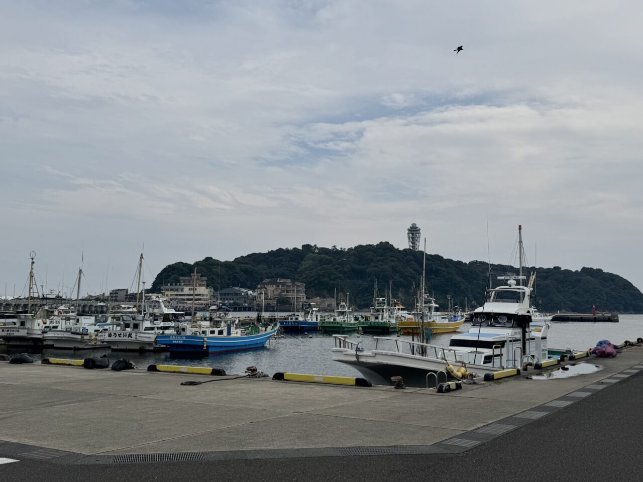 江の島フィッシャーマンズマルシェ20250614