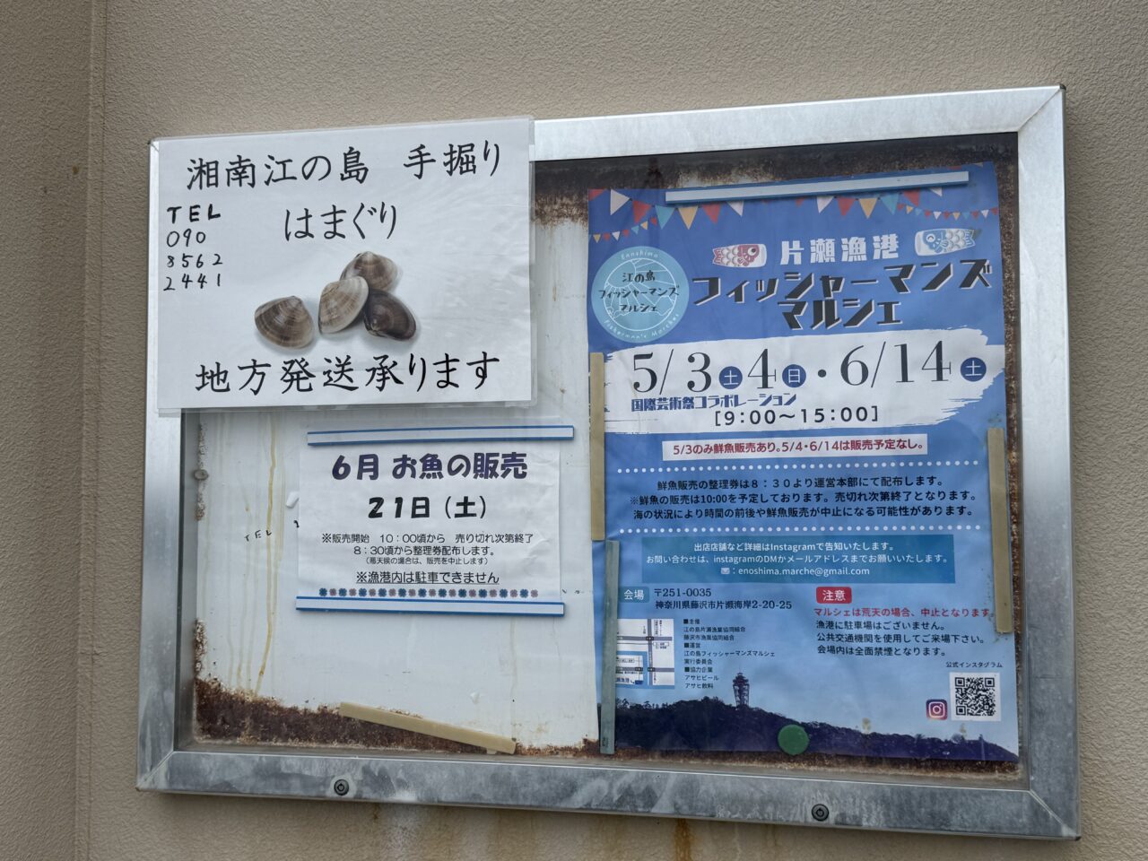 江の島フィッシャーマンズマルシェ20250614