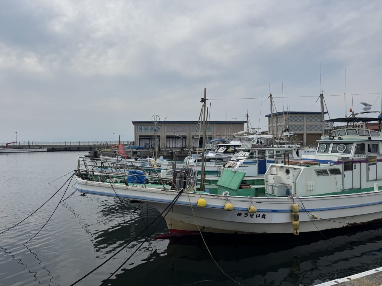 江の島フィッシャーマンズマルシェ20250614