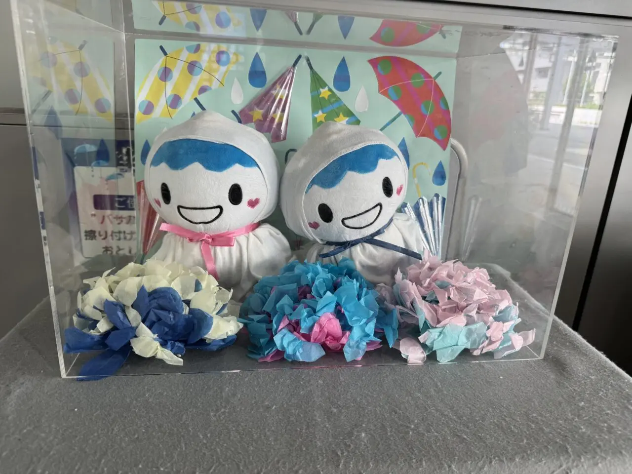 江の島ヨットハーバー発売