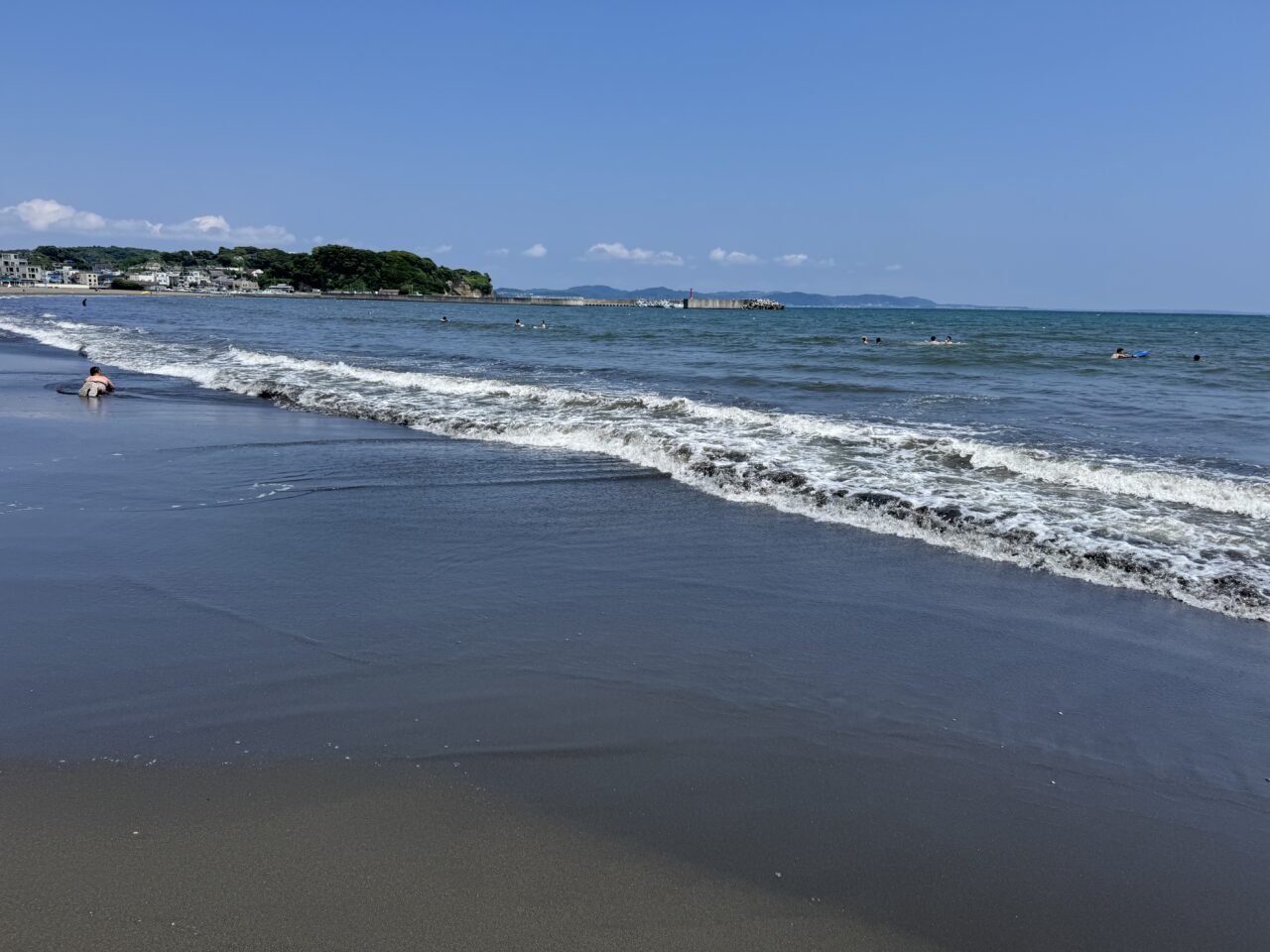 第213回 海さくらゴミ拾い BLUE SANTAごみ拾い2025