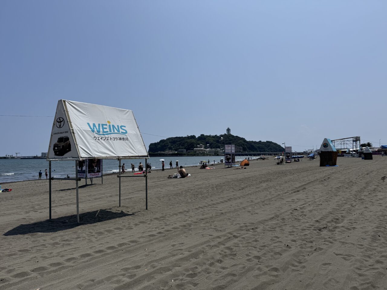 第213回 海さくらゴミ拾い BLUE SANTAごみ拾い2025