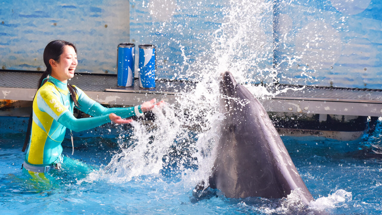 新江ノ島水族館『えのすいサンセットビアプラン』202508