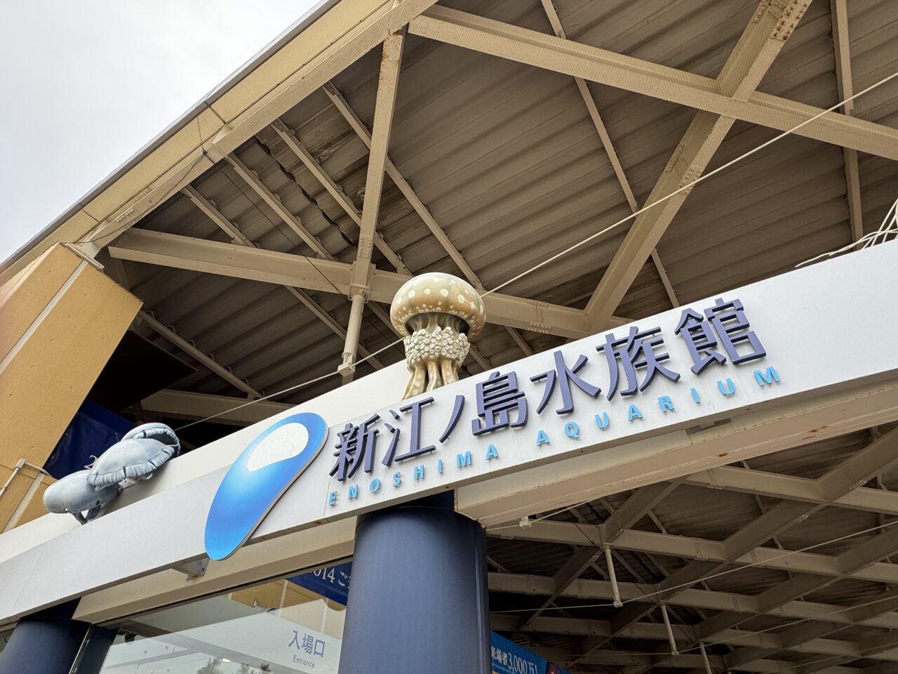 新江ノ島水族館『えのすいサンセットビアプラン』202508