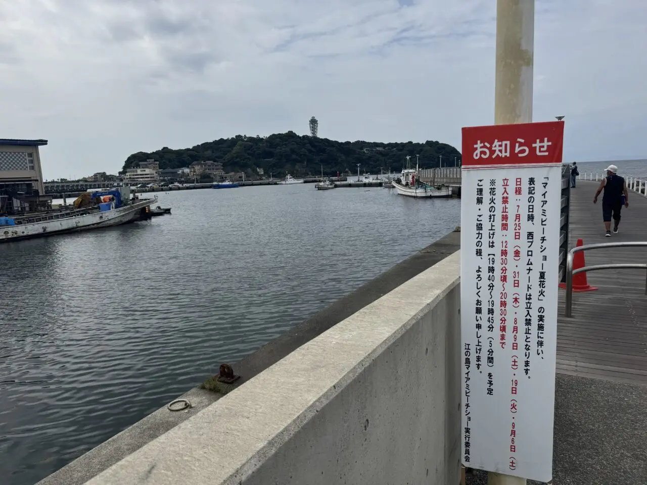 『江の島海水浴場スペシャルドローンショー　ー江の島伝説ー天女と龍神』