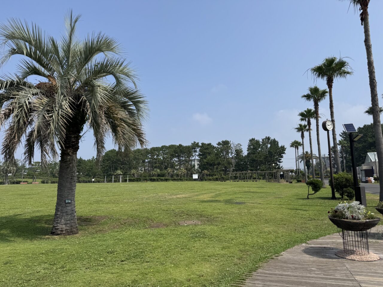 TSUJIDO LOCAL MARKET 20250914