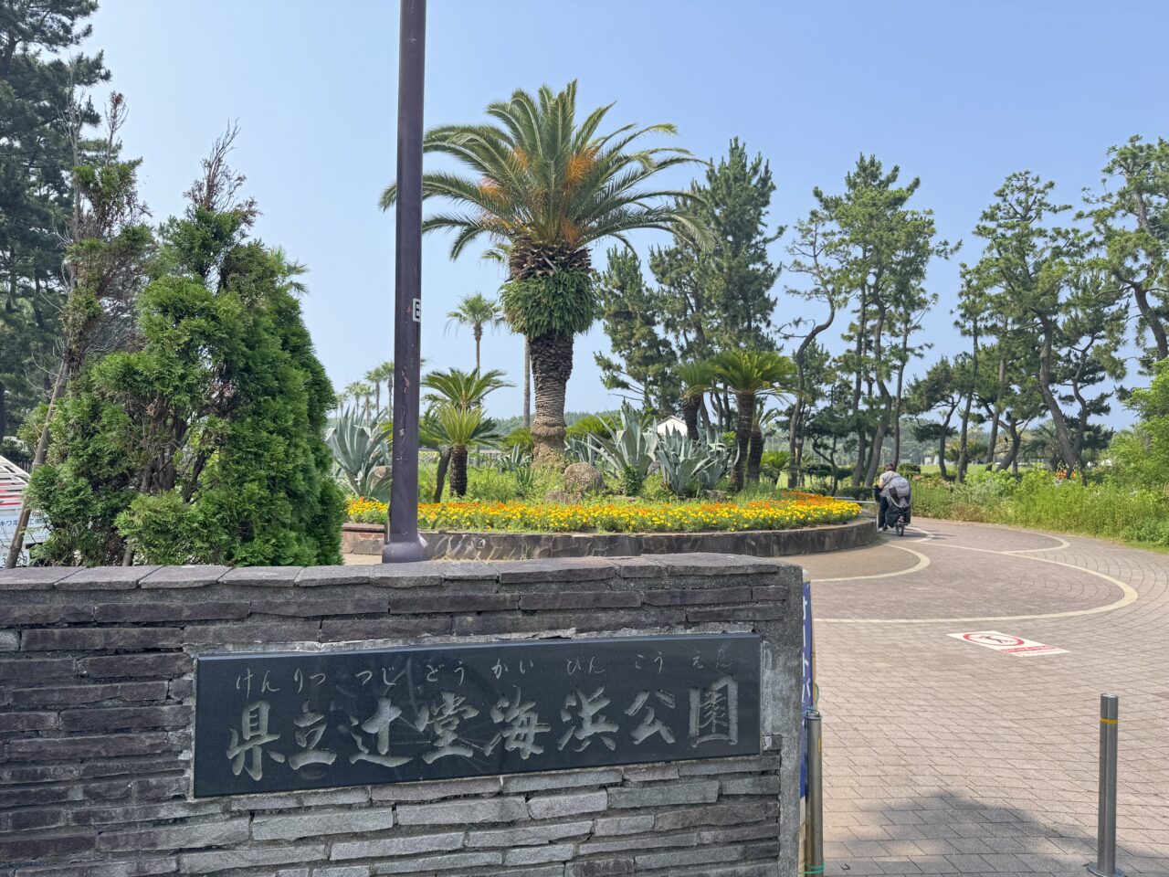 辻堂海浜公園ジャンボプールの『くじらの海で水あそび』