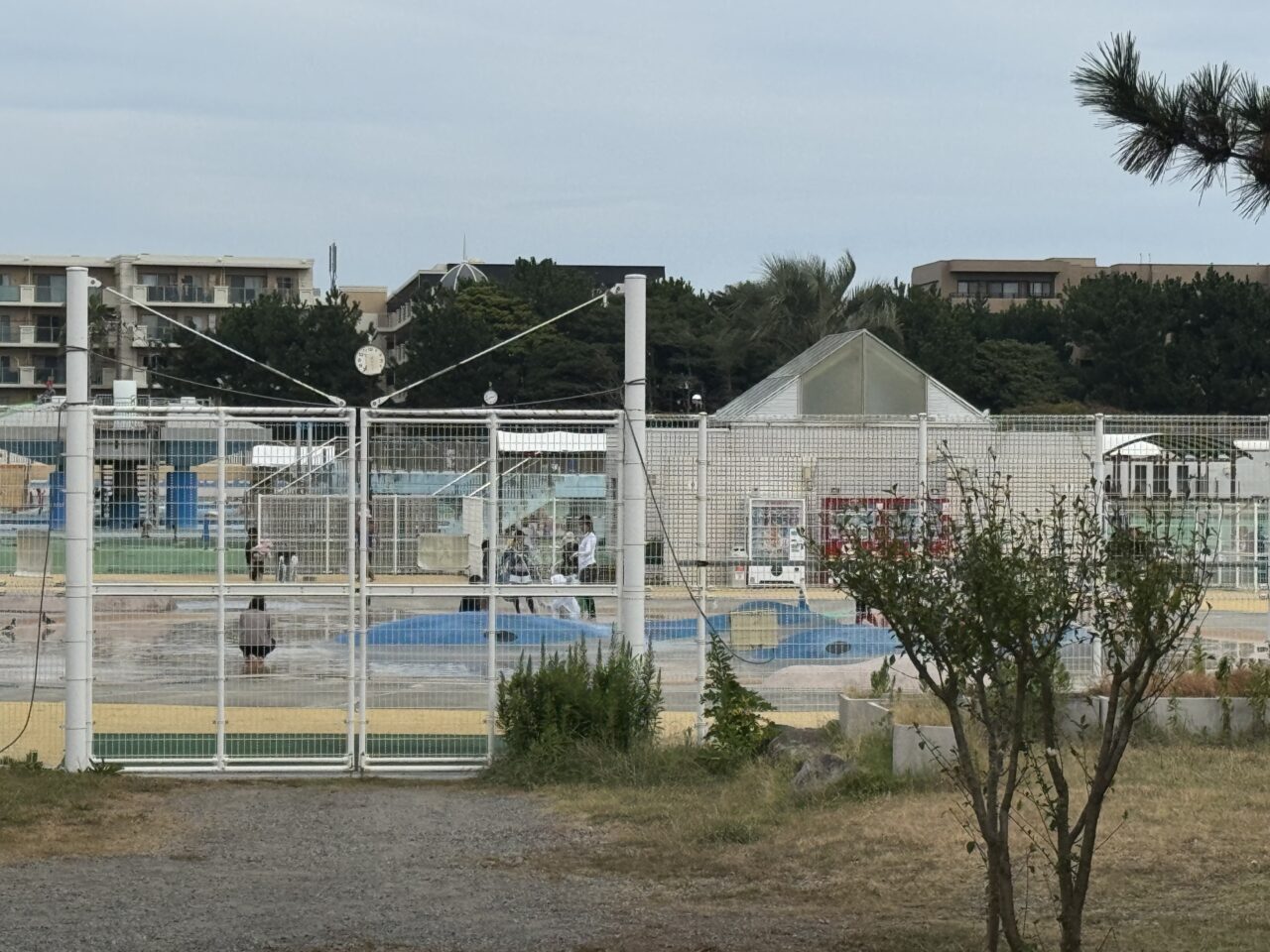辻堂海浜公園ジャンボプールの『くじらの海で水あそび』