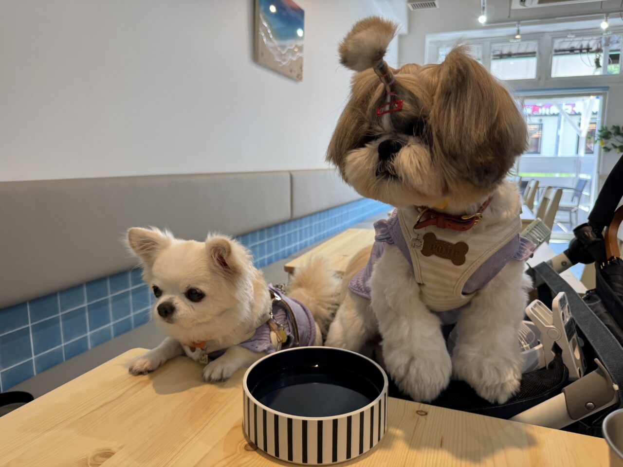 wan’s cafe 湘南がオープン