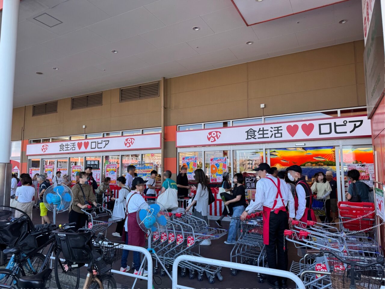 ロピア 湘南藤沢ミスターマックス店　オープン