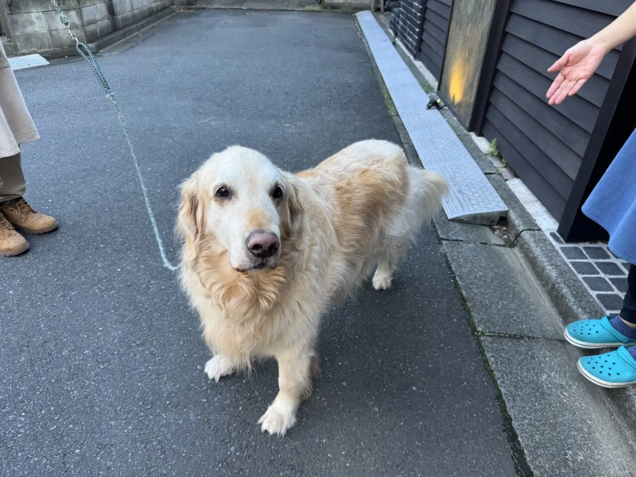 隠れ家カフェ「gaku no toboe」犬連れOK