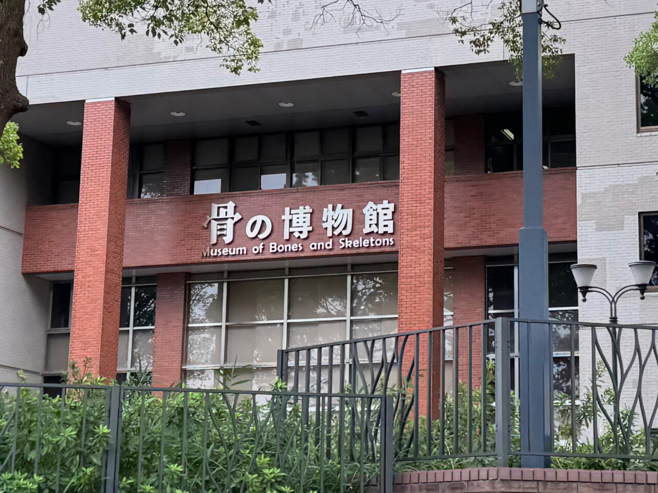 生物資源科学部 湘南キャンパスで学部祭『藤桜祭  画竜点睛～生命と共に～』が開催