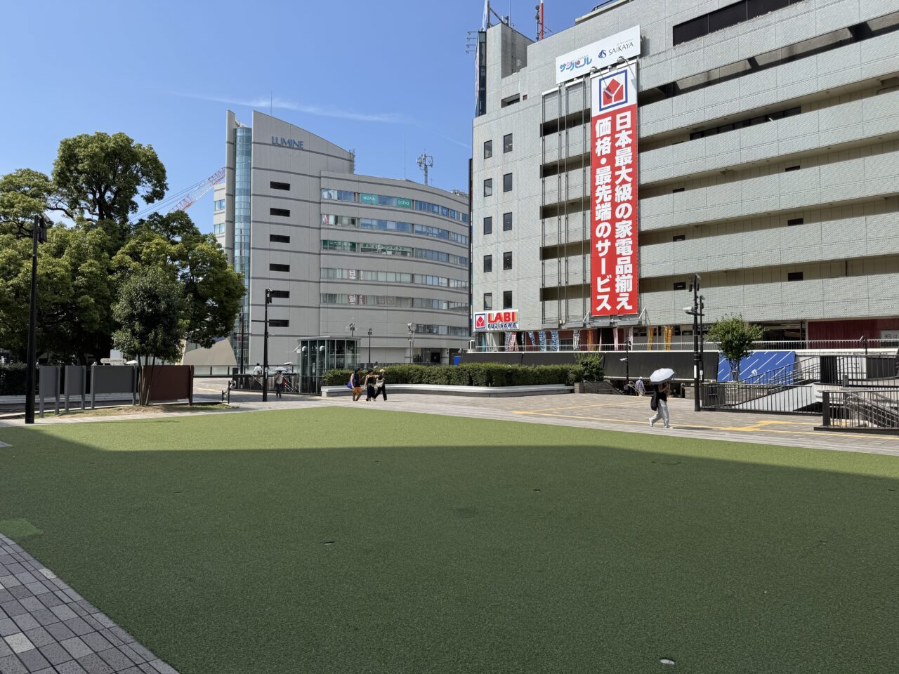 藤の盆2025