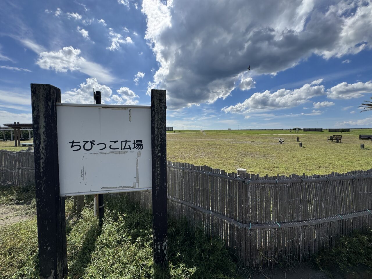 第16回 湘南海岸公園まつり