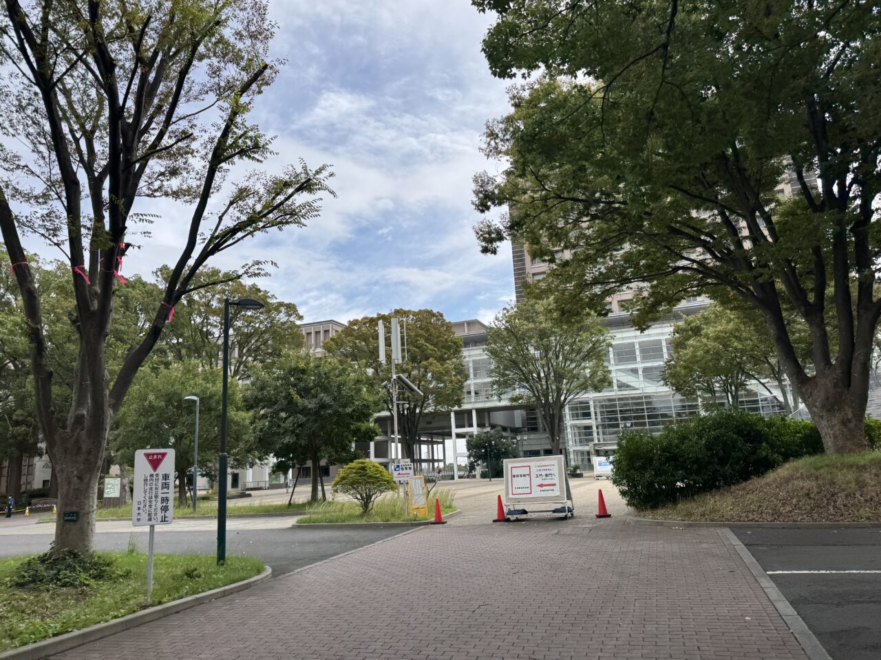 生物資源科学部 湘南キャンパスで学部祭『藤桜祭  画竜点睛～生命と共に～』が開催
