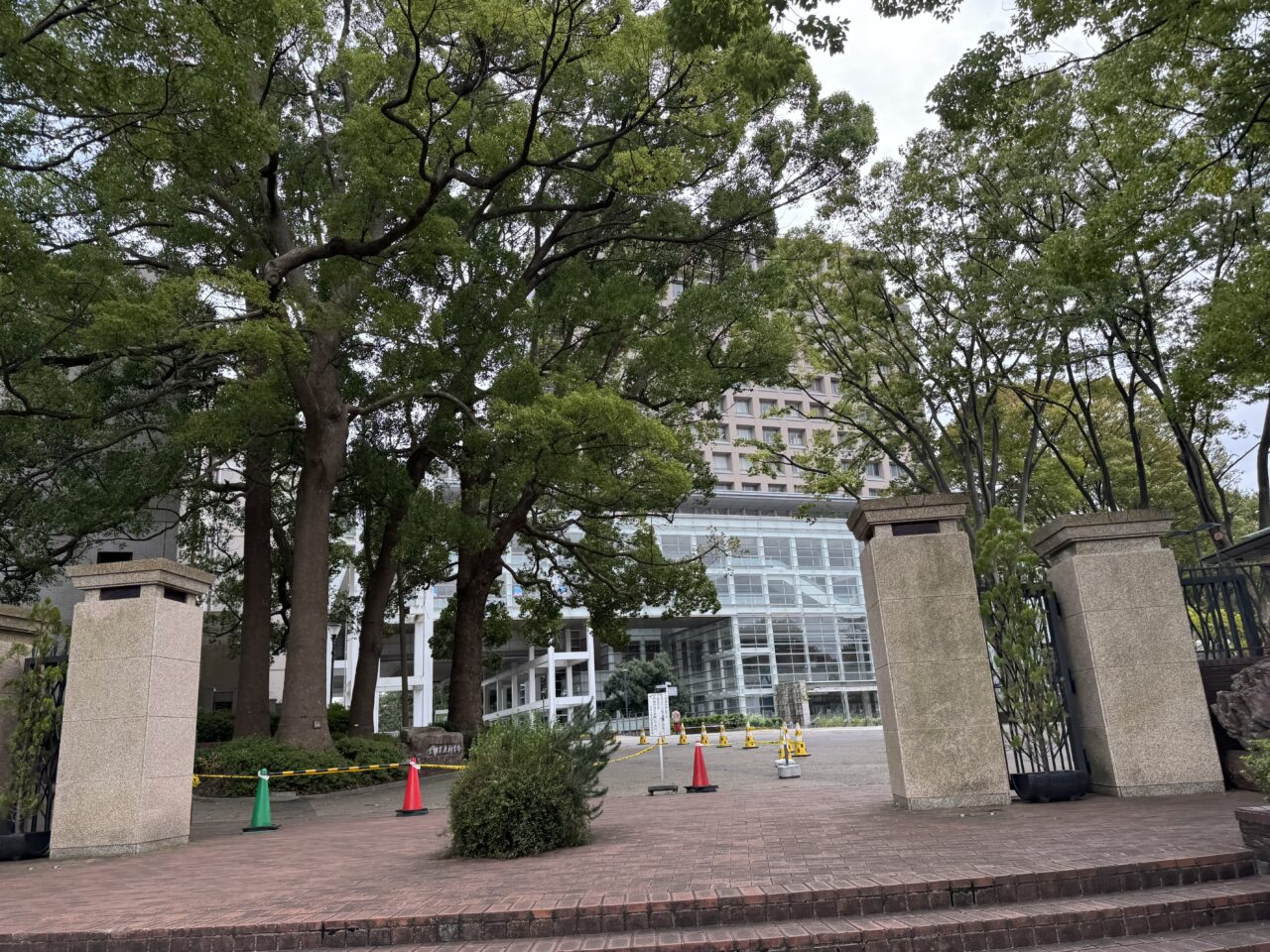 生物資源科学部 湘南キャンパスで学部祭『藤桜祭  画竜点睛～生命と共に～』が開催