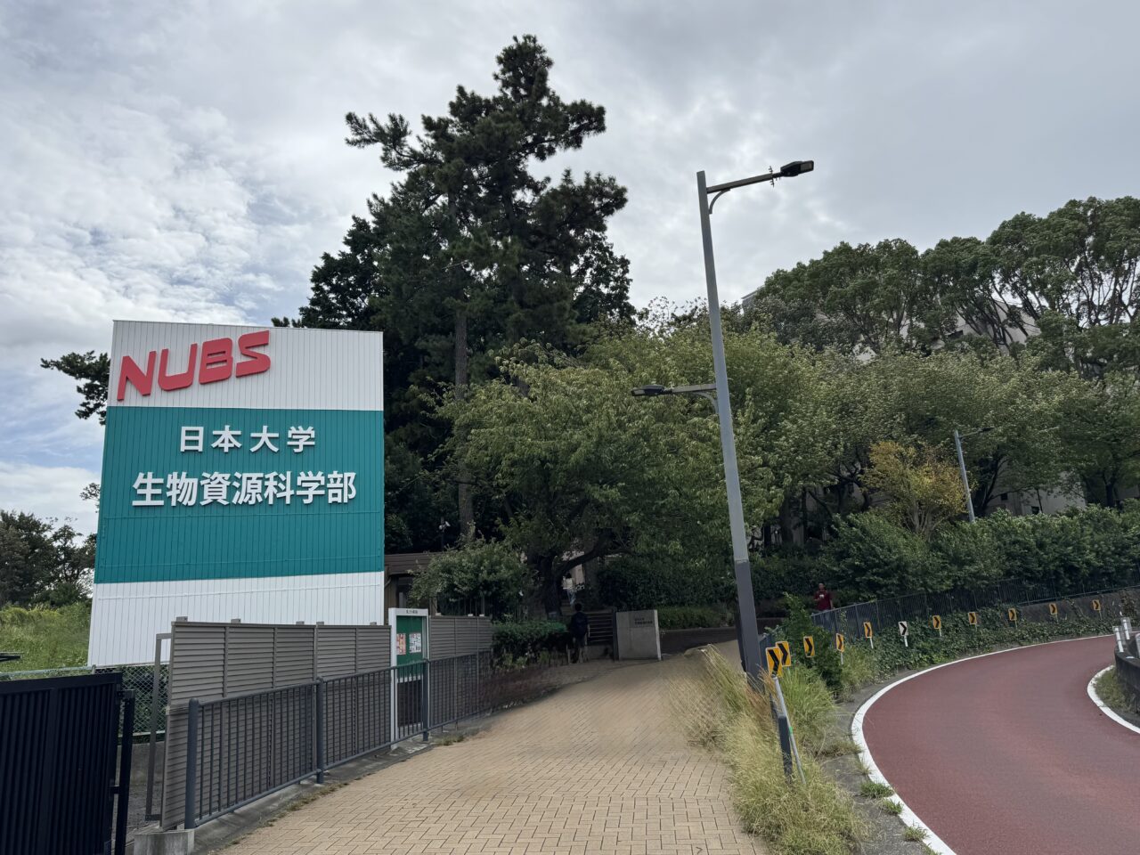 生物資源科学部 湘南キャンパスで学部祭『藤桜祭  画竜点睛～生命と共に～』が開催