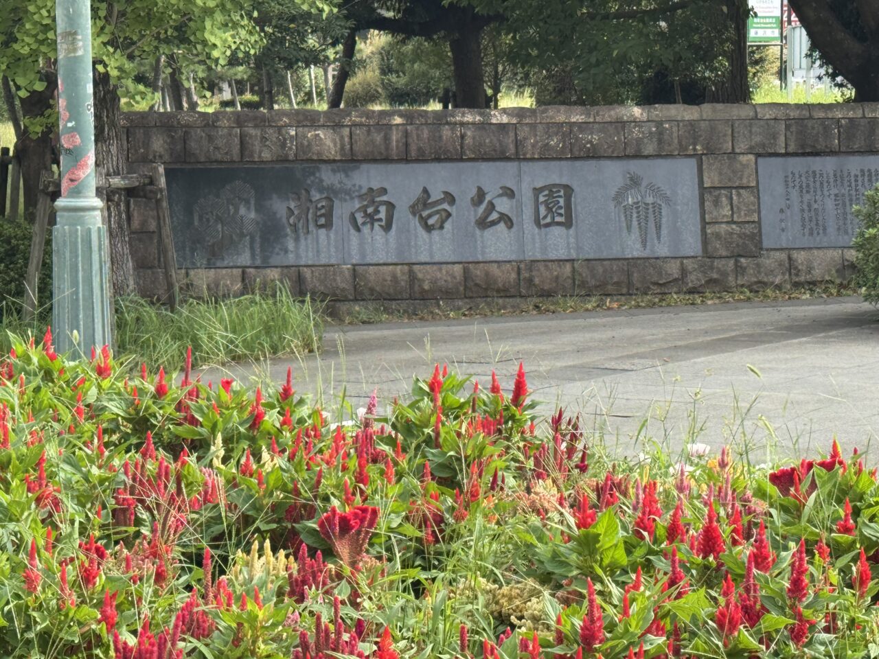 第25回 藤沢市民まつり 湘南台ファンタジア