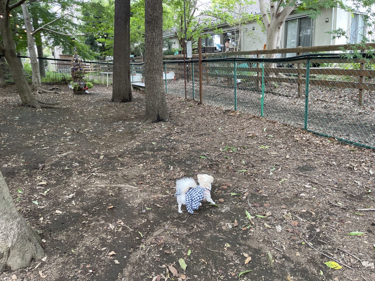 『第17回 田園長後の朝市』