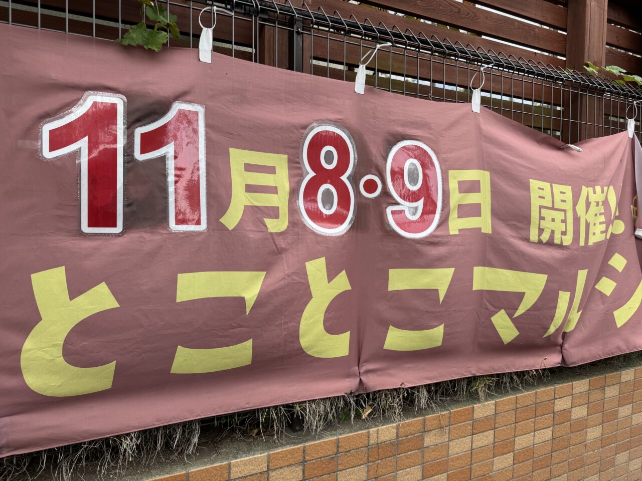 第10回出張とことこマルシェ~ハワイフェス~