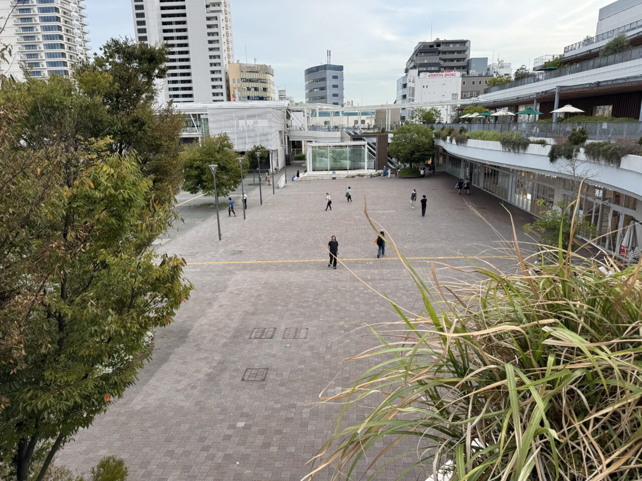 テラスモール湘南で11月22日、23日の2日間、2025年最後の『C Side Marche』が開催