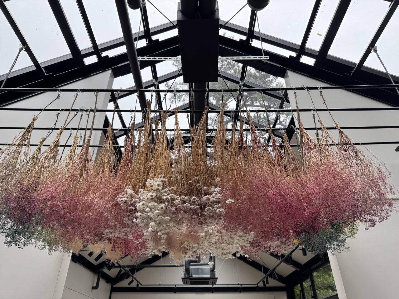 【藤沢市】藤沢在住のイラストレーターmin²作品展「江の島ロリィタ」が3月6日～9日まで、江の島サムエル・コッキング苑内の「UMIYAMA GALLERY」で開催されます♪