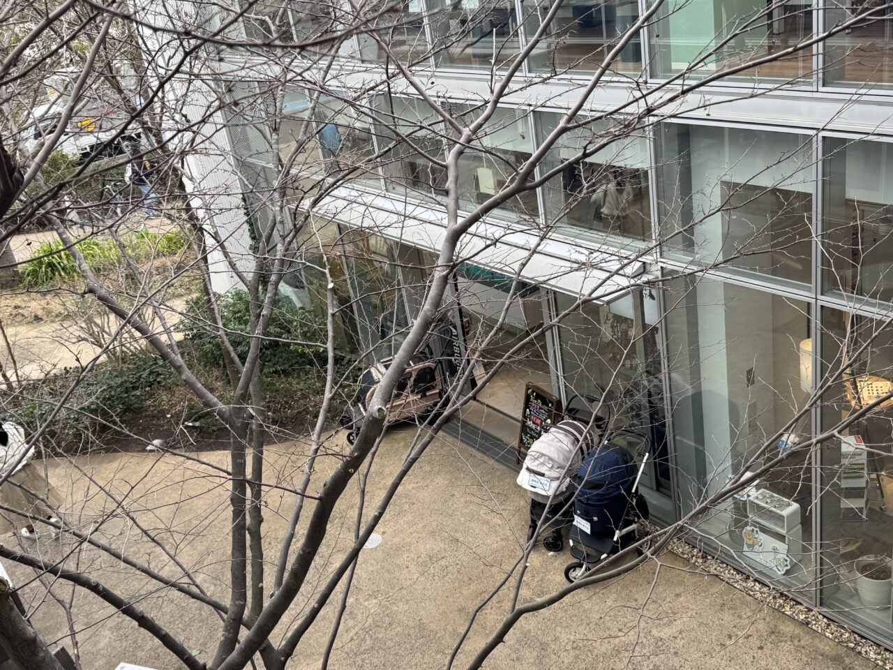 【藤沢市】湘南T-SITEのペットショップ「GREEN DOG &CAT 湘南」が3月30日から約1か月間、一時休業します。リニューアル前ラスト5日間は10％オフセール開催です。