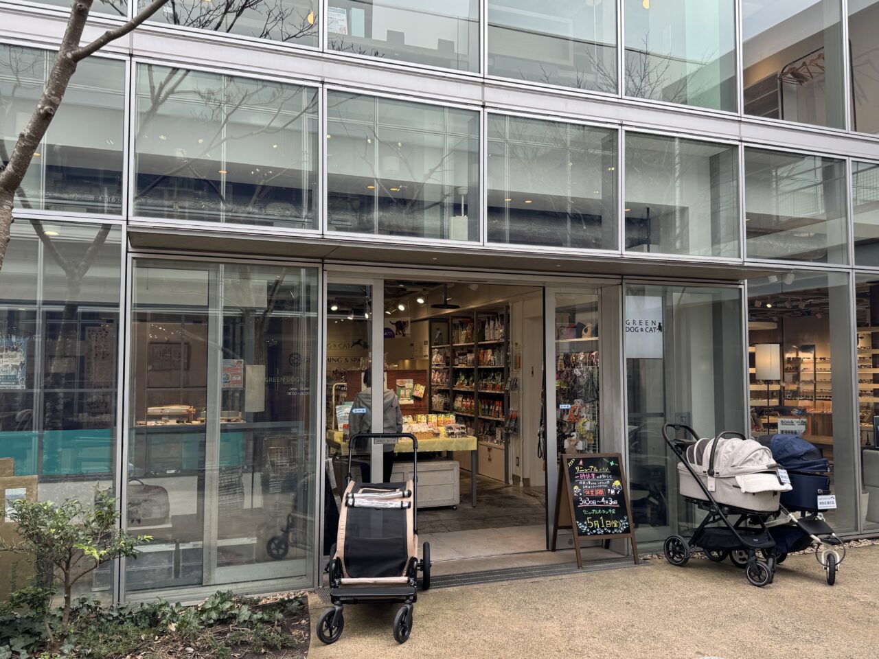 【藤沢市】湘南T-SITEのペットショップ「GREEN DOG &CAT 湘南」が3月30日から約1か月間、一時休業します。リニューアル前ラスト5日間は10％オフセール開催です。