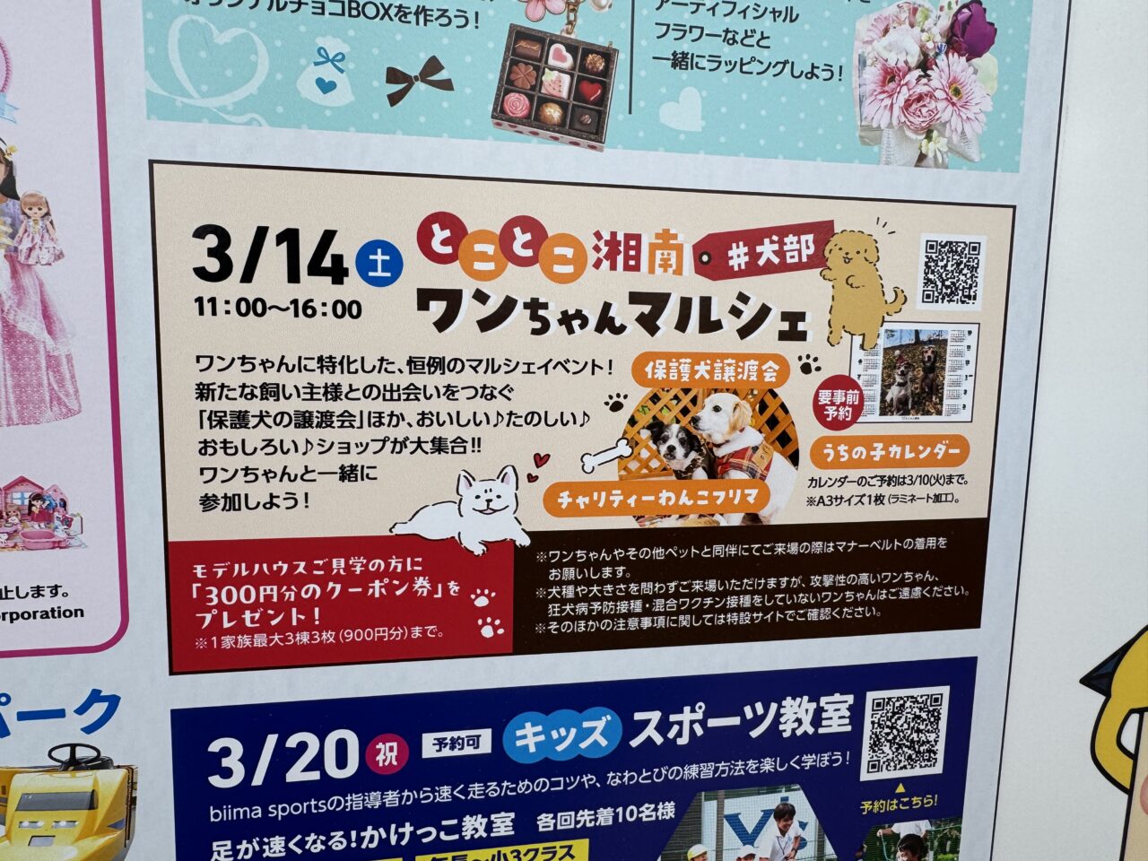 【藤沢市】愛犬と楽しむマルシェ！ 「第11回 出張とことこマルシェ#犬部」が3月14日、tvkハウジングプラザ藤沢で開催されます♪