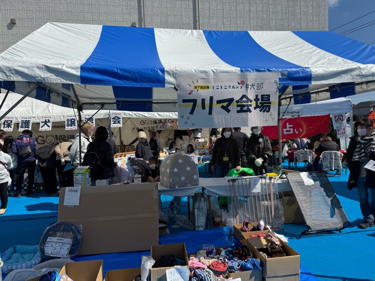 【藤沢市】愛犬と楽しむマルシェ！ 「第11回 出張とことこマルシェ#犬部」が3月14日、tvkハウジングプラザ藤沢で開催されます♪