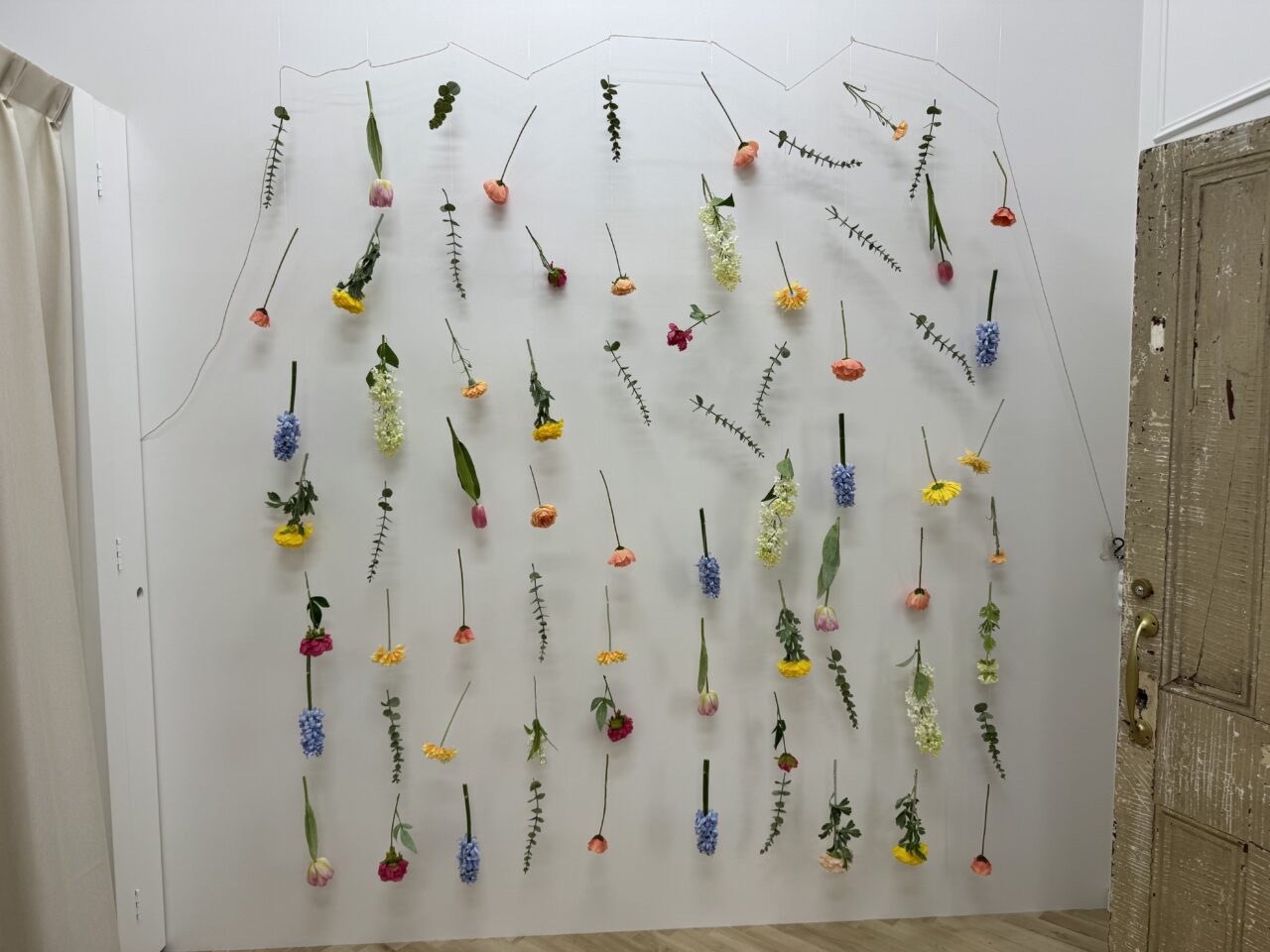 【藤沢市】「カメラのキタムラ 藤沢・湘南台店 」が大型リニューアル！ 3月19日にグランドオープンします。新宿で人気の新スタジオも登場♪