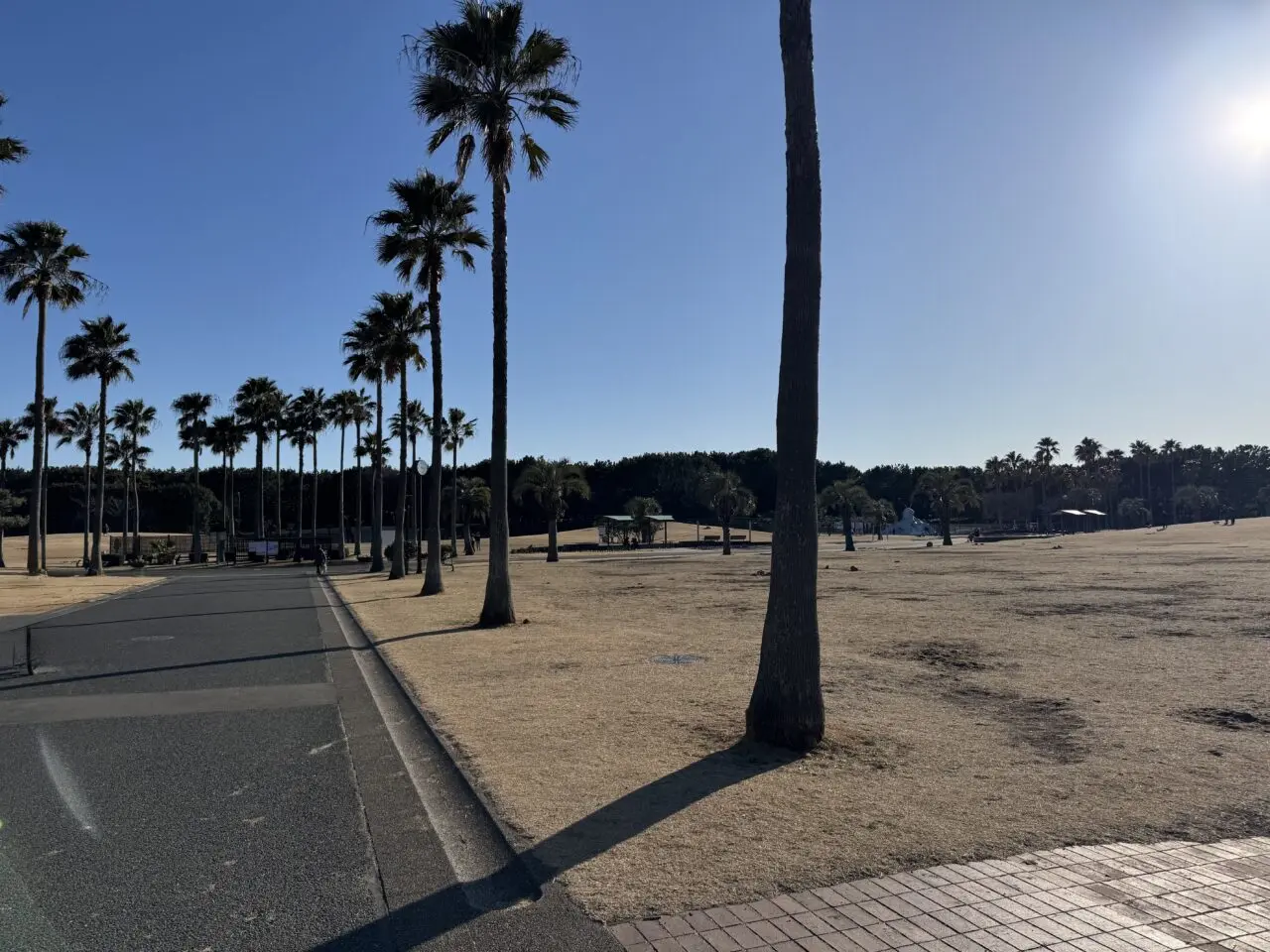 【藤沢市】ステージ・マルシェ・譲渡会が集結！ 湘南エリアで話題の動物愛護イベント「HUG ANIMALS Vol.15」が、4月25日・26日に辻堂海浜公園で開催されます♪