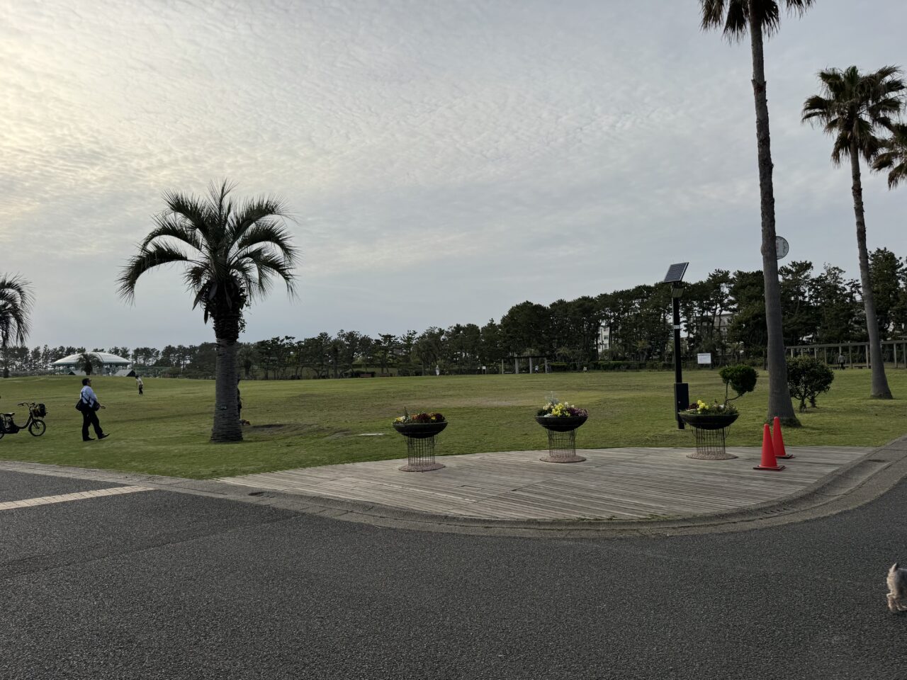 【藤沢市】ステージ・マルシェ・譲渡会が集結！ 湘南エリアで話題の動物愛護イベント「HUG ANIMALS Vol.15」が、4月25日・26日に辻堂海浜公園で開催されます♪