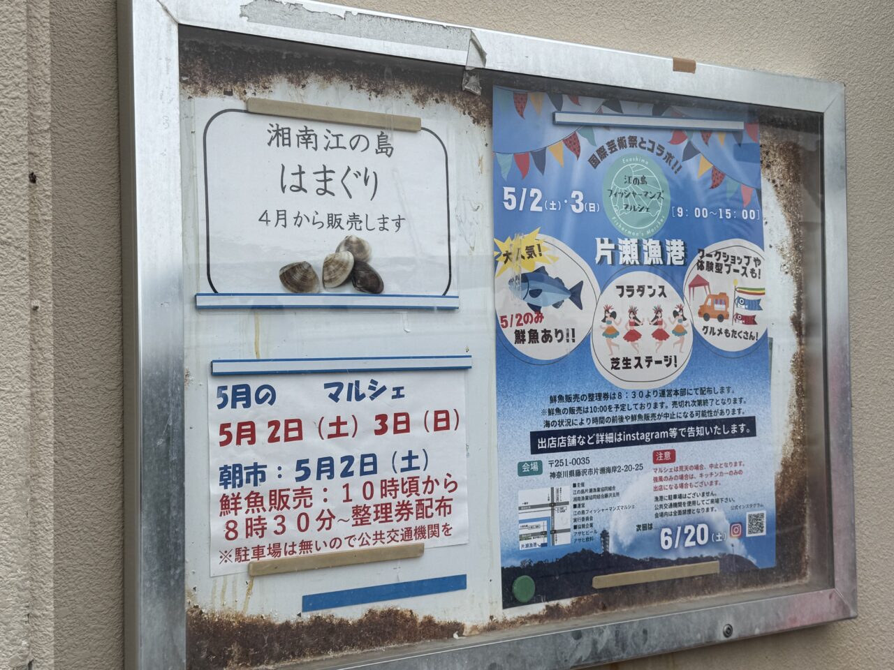 【藤沢市】初日は鮮魚販売も！ 「江の島フィッシャーマンズマルシェ」がGWの5月2日、3日の2日間、片瀬漁港で開催されます♪