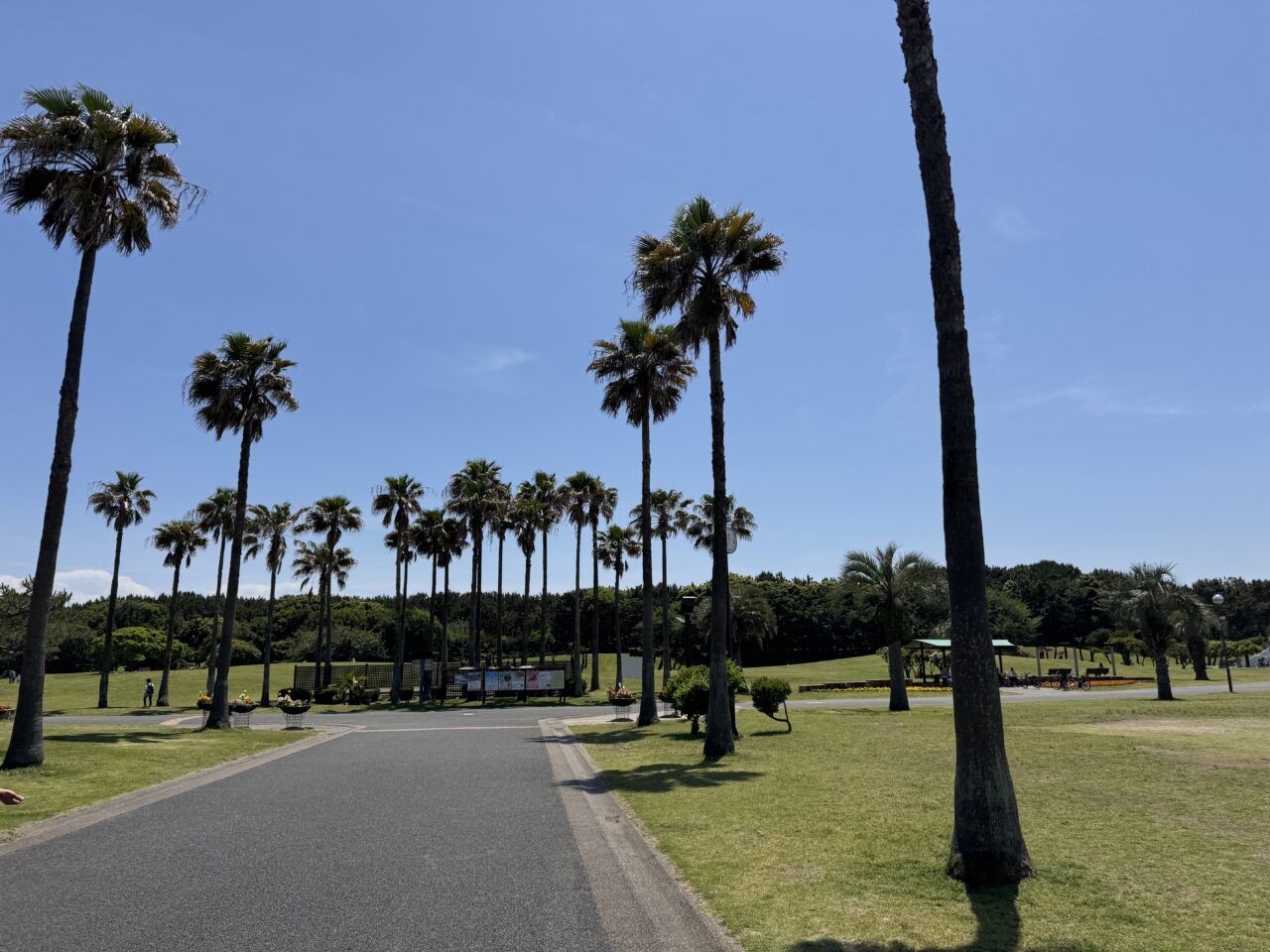 【藤沢市】海とサーフカルチャーを体感できる2日間! 「THE SURF FESTIVAL 2026」が5月30日、31日に辻堂海浜公園で開催されます♪