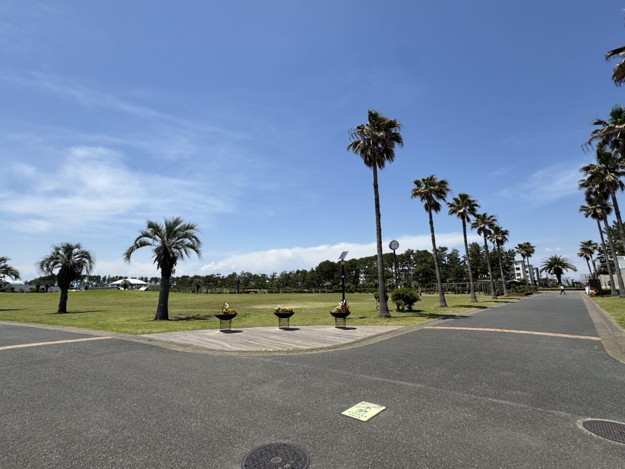 【藤沢市】海とサーフカルチャーを体感できる2日間! 「THE SURF FESTIVAL 2026」が5月30日、31日に辻堂海浜公園で開催されます♪