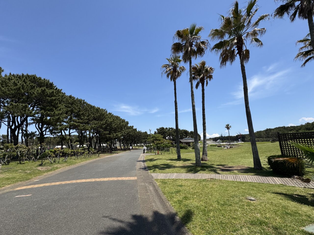 【藤沢市】海とサーフカルチャーを体感できる2日間! 「THE SURF FESTIVAL 2026」が5月30日、31日に辻堂海浜公園で開催されます♪