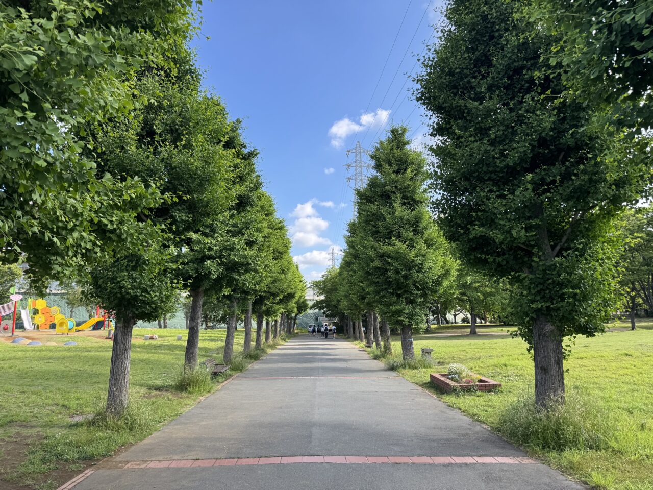 【藤沢市】映画「箱の中の羊」藤沢市ロケ地マップが完成! えのすいなど市内5スポット掲載、5月15日から配布中です♪