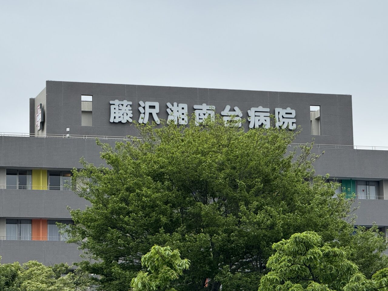 【藤沢市】ご当地キャラ大集結がすごい！ GWの注目イベント「Do You FESTIVAL 2026」が藤沢湘南台病院で5月3日に開催されます。 病院×フェスの新体験♪