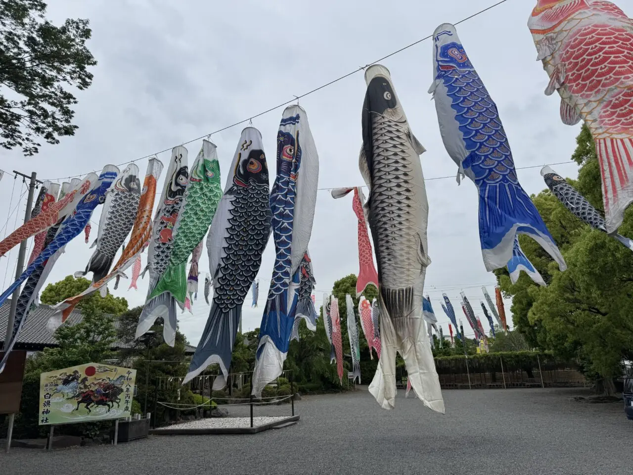 【藤沢市】GWは“こいのぼり×藤沢グルメ”で決まり！ 白旗神社で「白旗神社FOOD PARK」が5月4日に開催されます♪