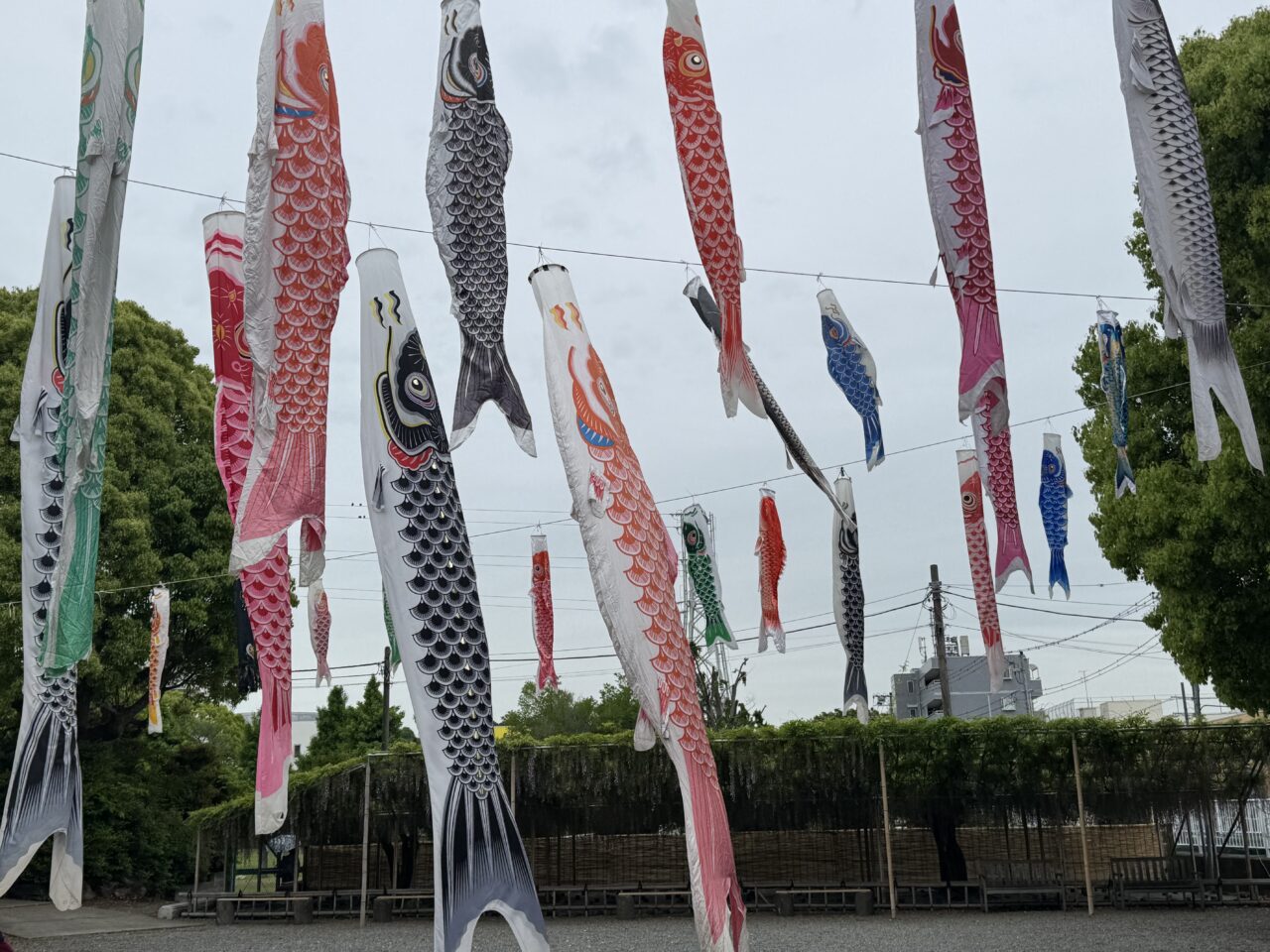 【藤沢市】GWは“こいのぼり×藤沢グルメ”で決まり！ 白旗神社で「白旗神社FOOD PARK」が5月4日に開催されます♪