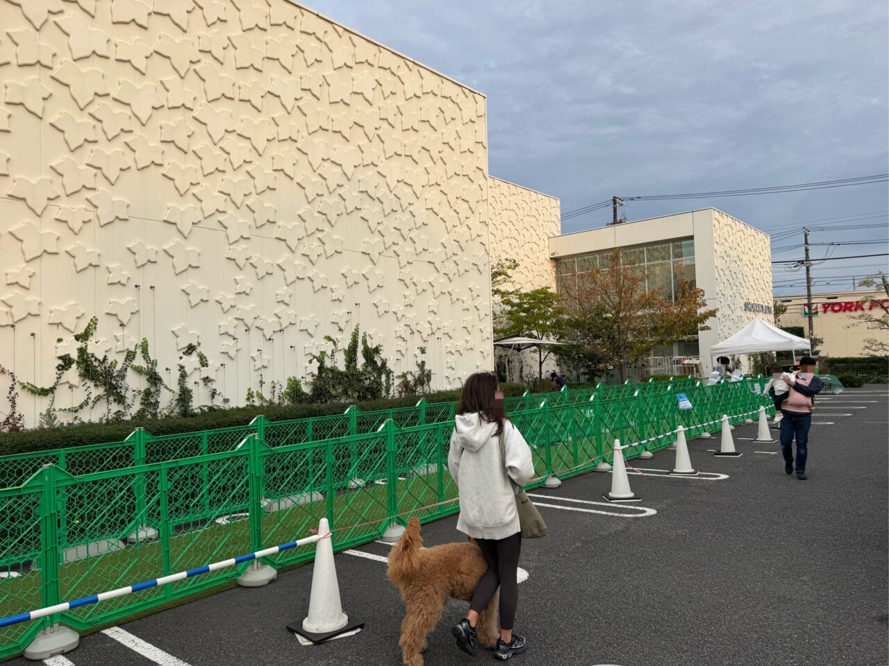 【藤沢市】湘南T-SITEに愛犬家集合！ 「GREEN DOG ＆ CAT 湘南」が5月1日にリニューアルオープン！ さらに5月9日、10日には人気イベント「Happy Dog Day」も開催されます♪