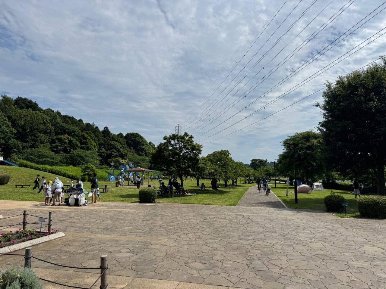 【藤沢市】大庭の引地川親水公園で「第18回 親水公園まつり」が6月6日に開催されます♪ 動物ふれあい・農産物販売・キッチンカーも!