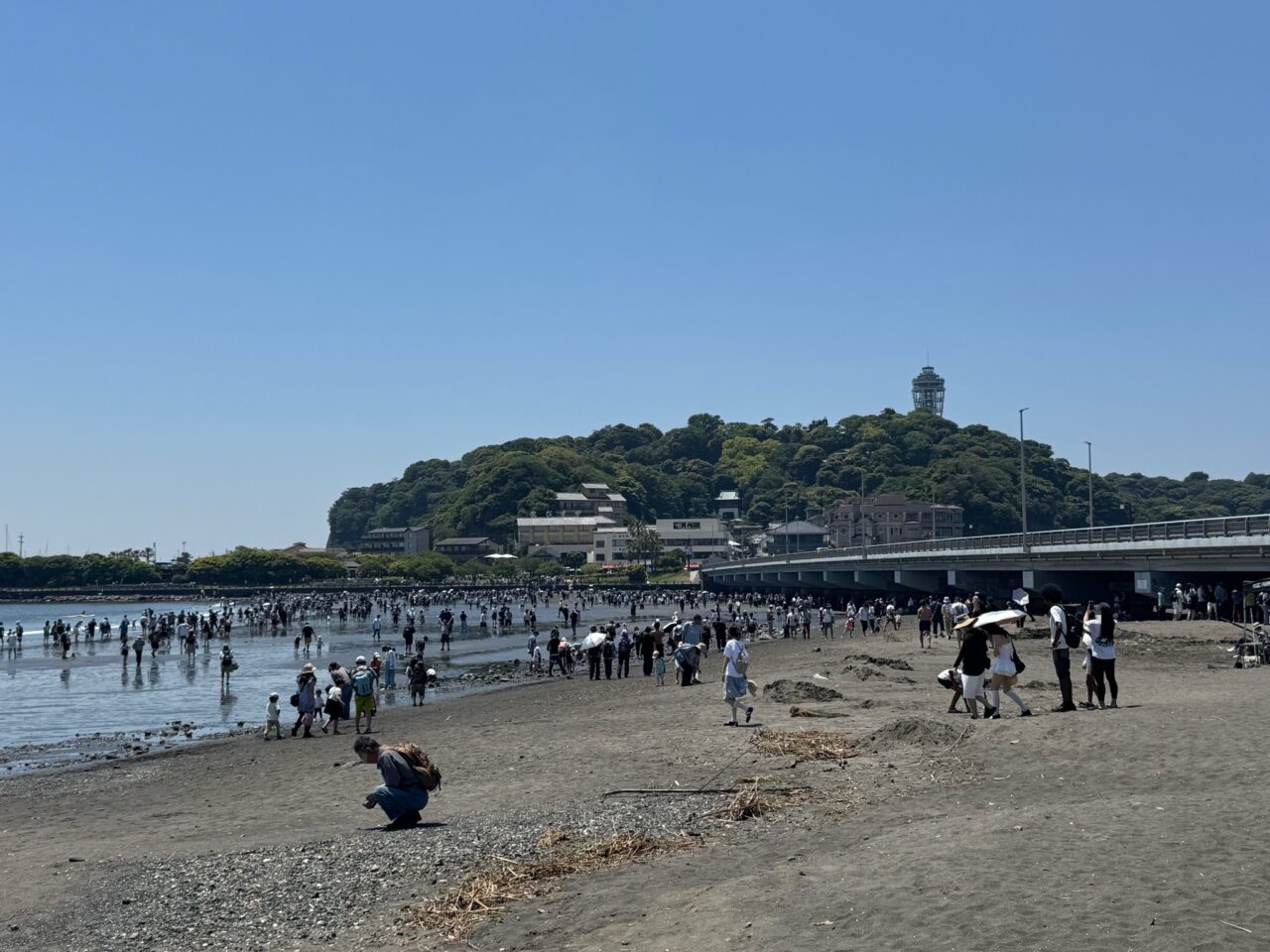 【藤沢市】6月14日~18日は5日間連続で江の島トンボロ出現予想日です! 上陸階段も開放予定! “海の道”を歩ける貴重なチャンスです♪
