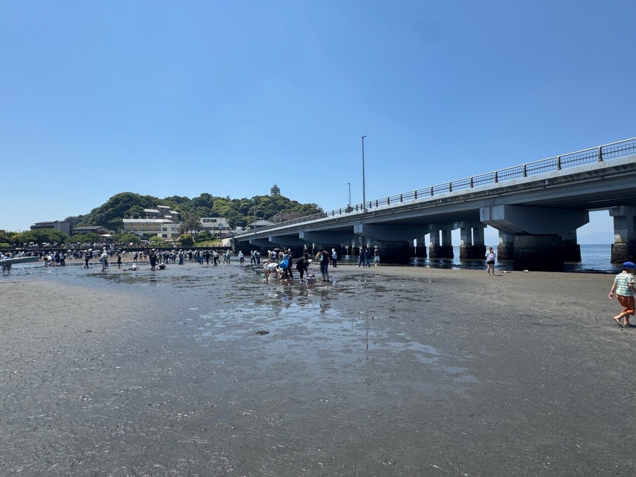 【藤沢市】6月14日~18日は5日間連続で江の島トンボロ出現予想日です! 上陸階段も開放予定! “海の道”を歩ける貴重なチャンスです♪
