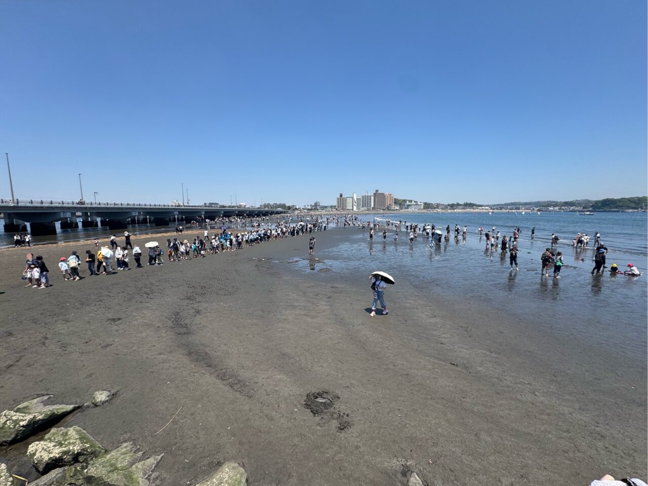 【藤沢市】6月14日~18日は5日間連続で江の島トンボロ出現予想日です! 上陸階段も開放予定! “海の道”を歩ける貴重なチャンスです♪