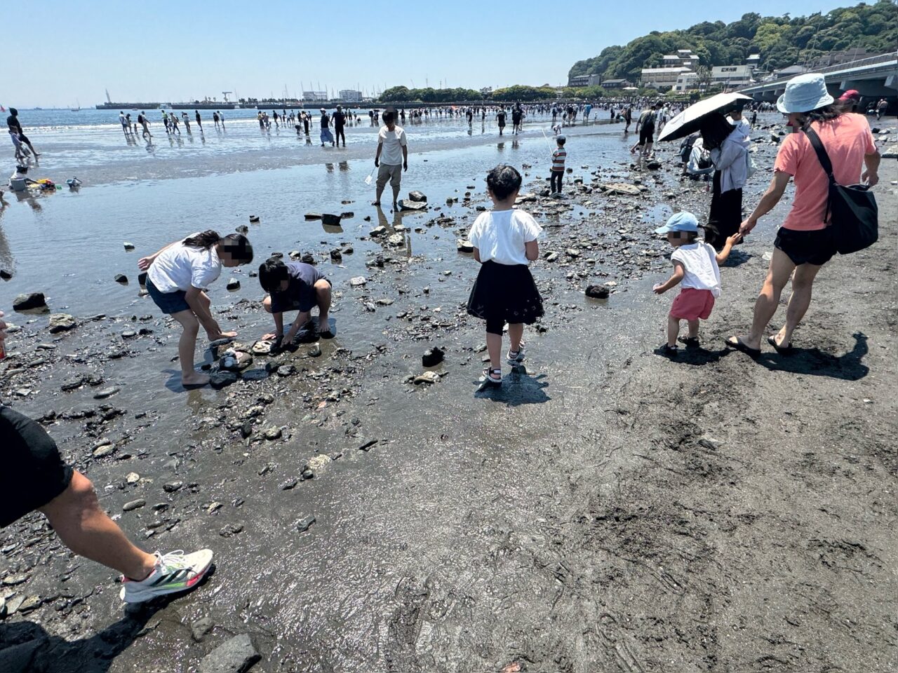 【藤沢市】6月14日~18日は5日間連続で江の島トンボロ出現予想日です! 上陸階段も開放予定! “海の道”を歩ける貴重なチャンスです♪