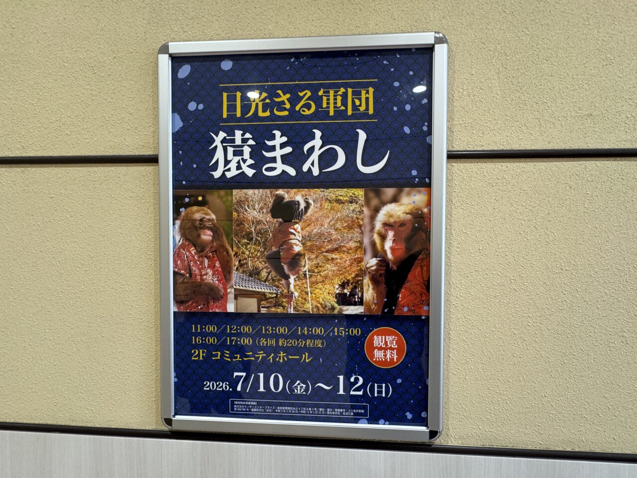 【藤沢市】観覧無料! 湘南モールフィルで「日光さる軍団 猿まわし」が開催されます! 1日7回公演で買い物の合間にも楽しめます♪
