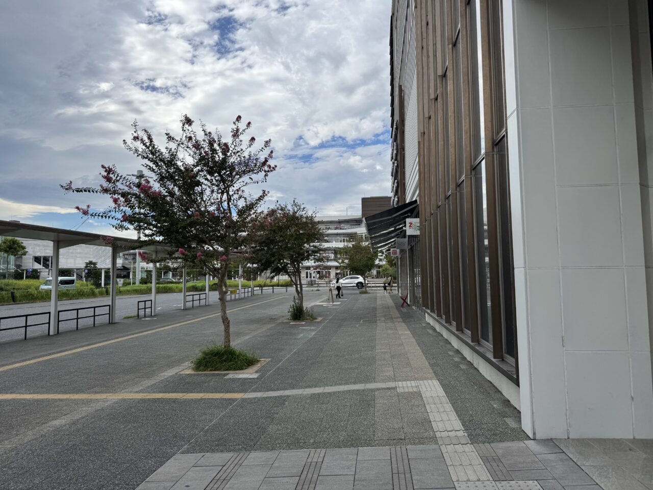 【藤沢市】ディズニーストアが湘南エリアに期間限定で復活へ！ 10月中旬オープン予定、1か月限定のPOP-UPが登場予定です♪