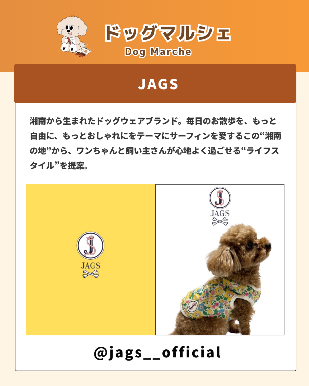 【藤沢市】9月13日は辻堂・神台公園へ！ 愛犬と一緒に楽しみながら防災を考える「湘南DOG BOUSAI FESTA」が開催されます♪ ドッグマルシェや起震車体験、ドッグランなど盛りだくさん！